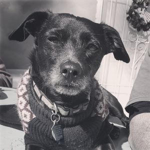 Meet your Posher, Alicia